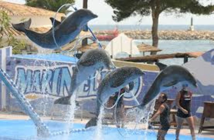 Dolphin Village Dammam: Popular Sea Lion & Dolphin Show