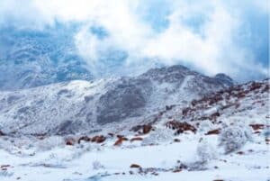 Jabal Al-Lawz: The Snow-Capped Mountain of Arabia