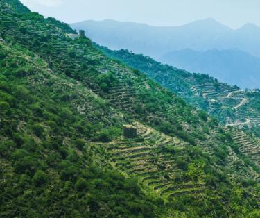 Al Soudah Viewpoints